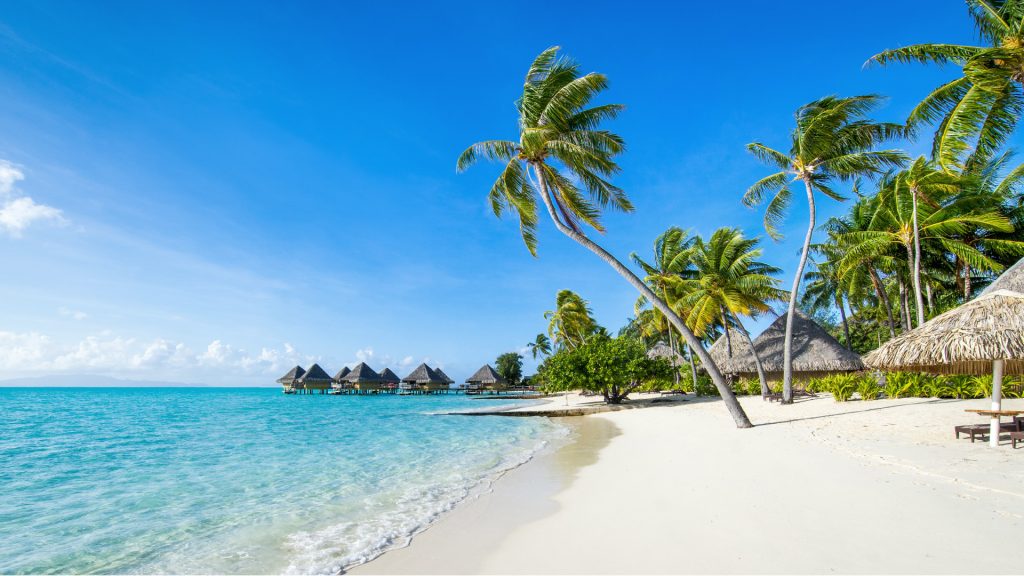 South Pacific Holiday Tours