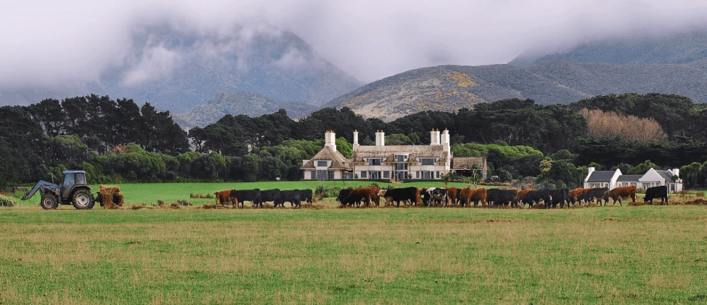 Wairarapa-final-12