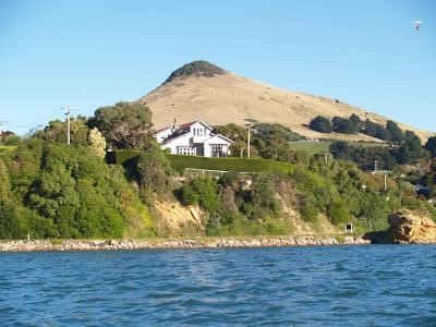 Dunedin Captain-Eadys Lookout