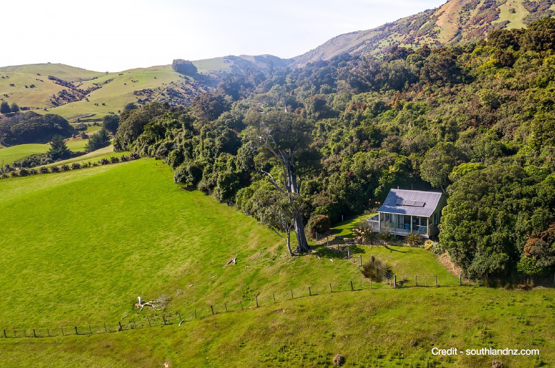 Catlins Mohua Park - Southland