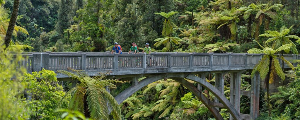 Bridge to nowhere whanganui national park