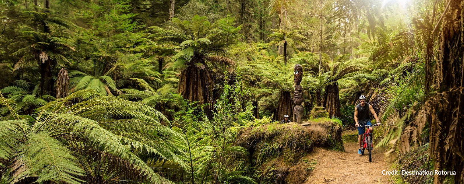 Rotorua - New Zealand