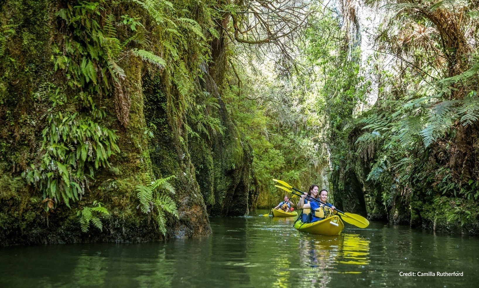 Waikato - New Zealand