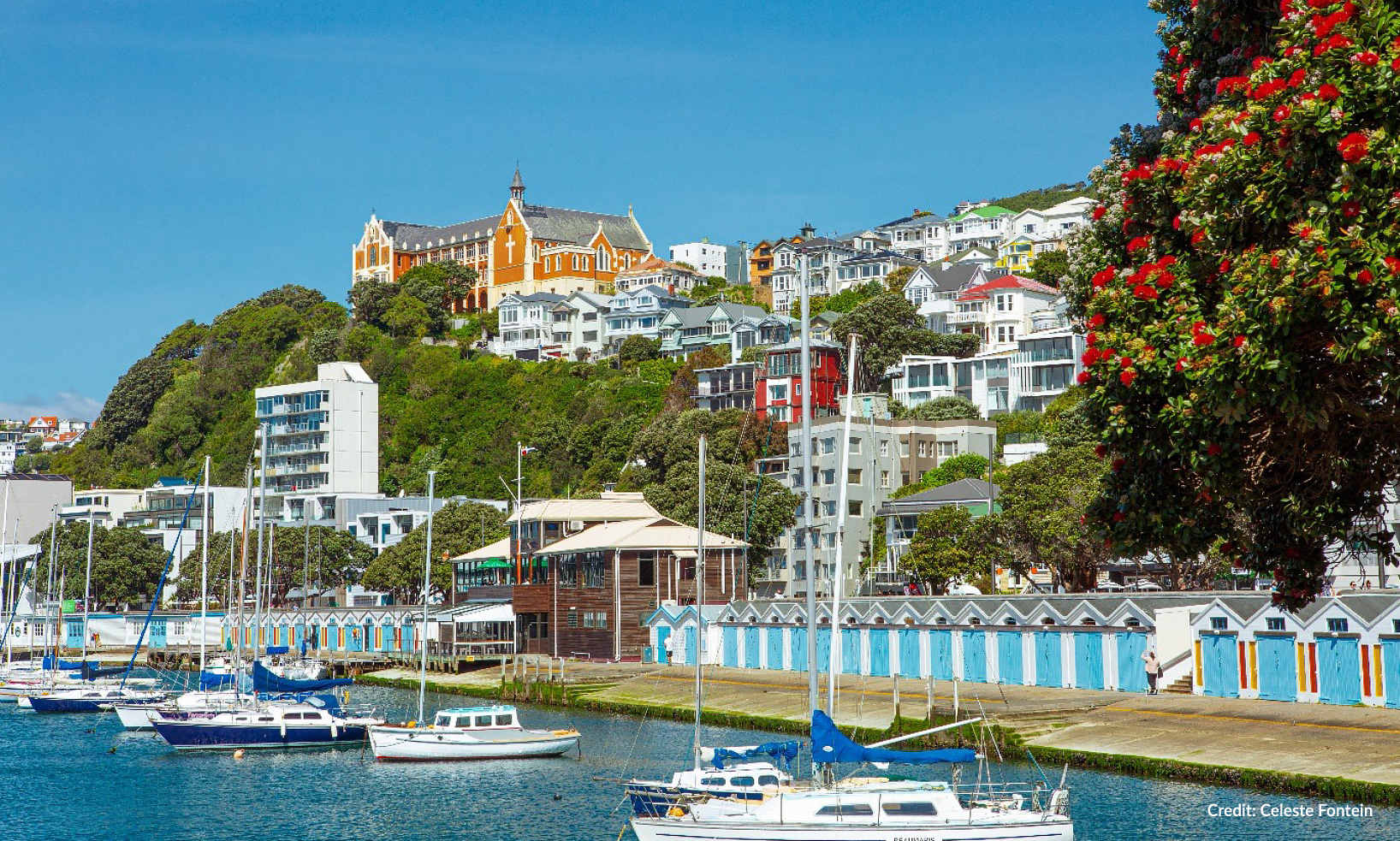 Wellington - New Zealand