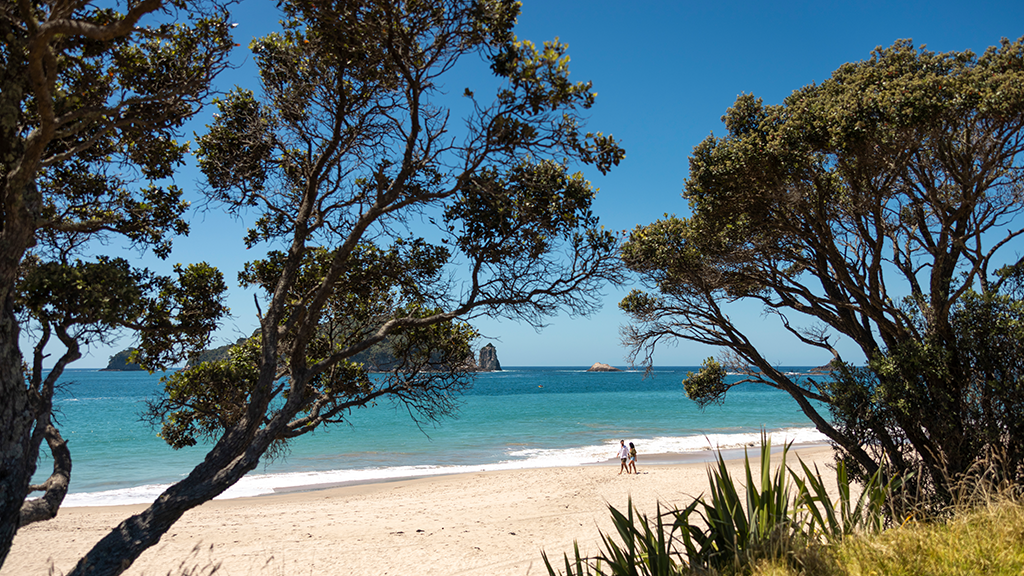 Summer in New Zealand