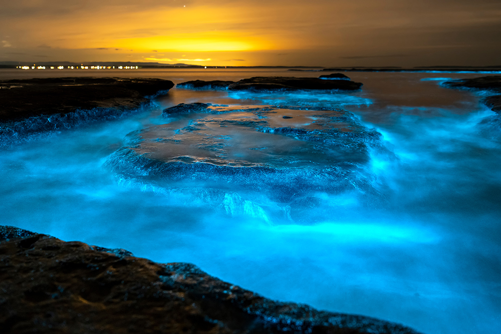 Jervis Bay
