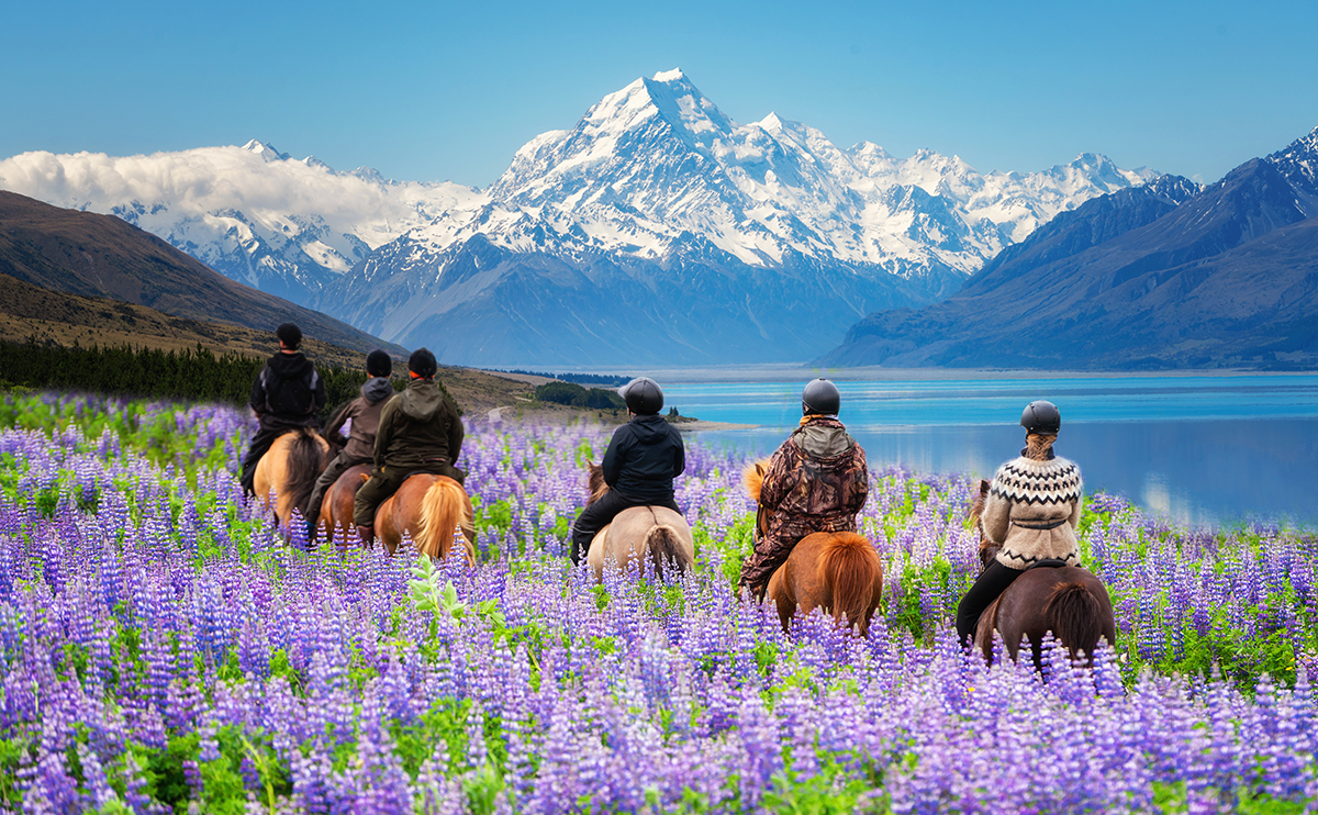 What is an Escorted Holiday Tour?